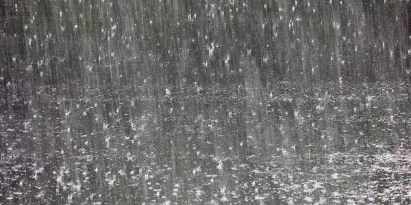 Rain