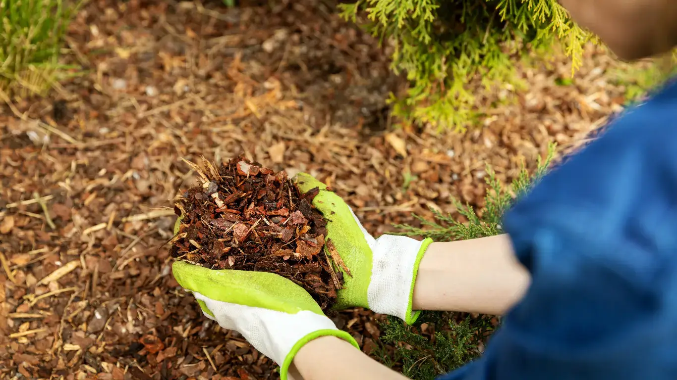 Virginia Mulch